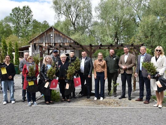 Bukowe sadzonki w Fajsławicach – zielona inwestycja w przyszłość Kraszczad