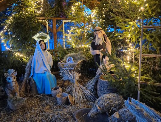 🐑🎄 Szopka Bożonarodzeniowa 🎄🐑 🐑🎄 Szopka Bożonarodzeniowa 🎄🐑