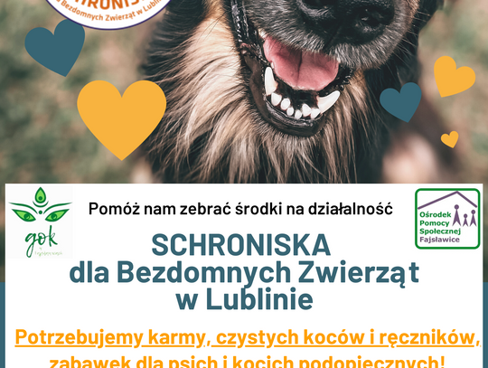 Zbiórka dla SCHRONISKA dla Bezdomnych Zwierząt w Lublinie.