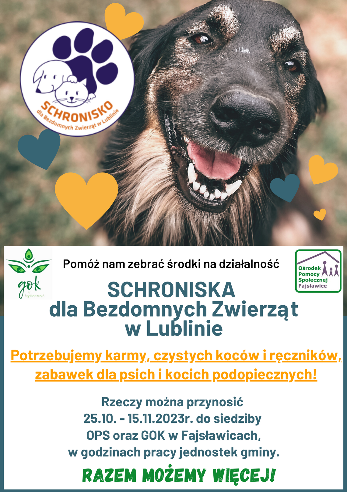 Zbiórka dla SCHRONISKA dla Bezdomnych Zwierząt w Lublinie.