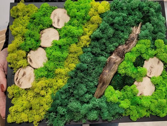 Warsztaty w GOK Fajsławice - październik 2025