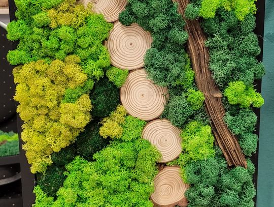 Warsztaty w GOK Fajsławice - październik 2025